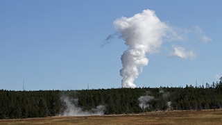 Steamboat Geysir