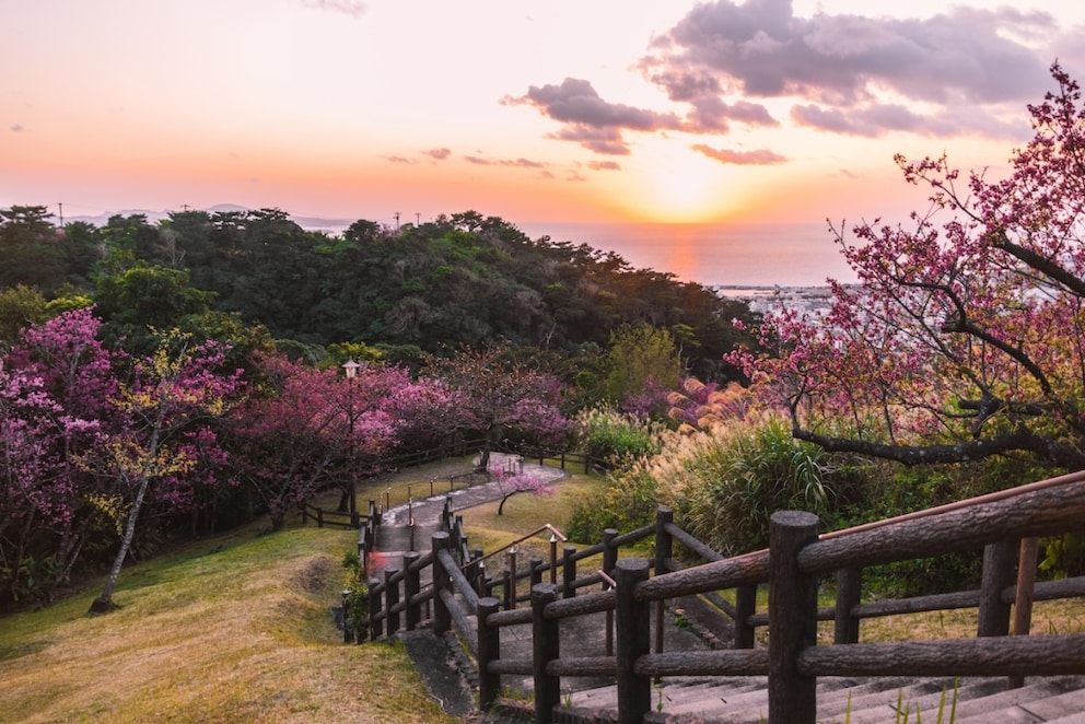 Okinawa, one of the global Blue Zones