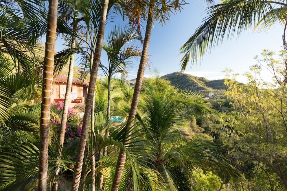 The Nicoya Peninsula is one of the Blue Zones