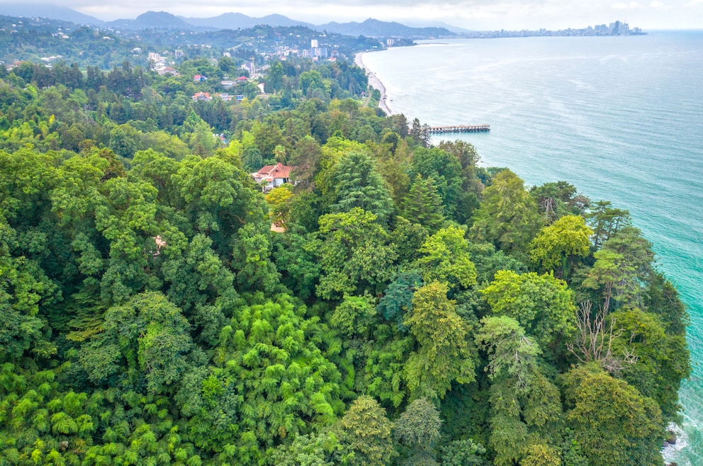 Botanischer Garten Batumi der Georgischen Akademie der Wissenschaften 