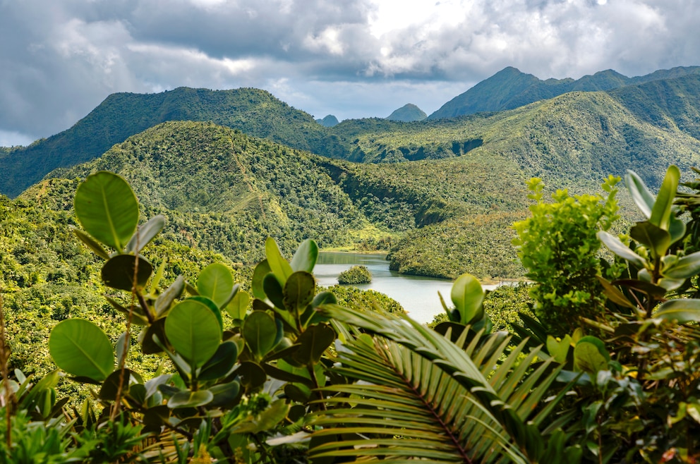 Nationalpark Morne Trois Pitons auf Dominica