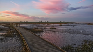 Platz 1 der besten Naturwunder Deutschlands ist sogar Teil eines UNESCO Weltnaturerbes