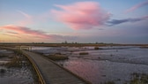 Platz 1 der besten Naturwunder Deutschlands ist sogar Teil eines UNESCO Weltnaturerbes