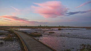 Platz 1 der besten Naturwunder Deutschlands ist sogar Teil eines UNESCO Weltnaturerbes