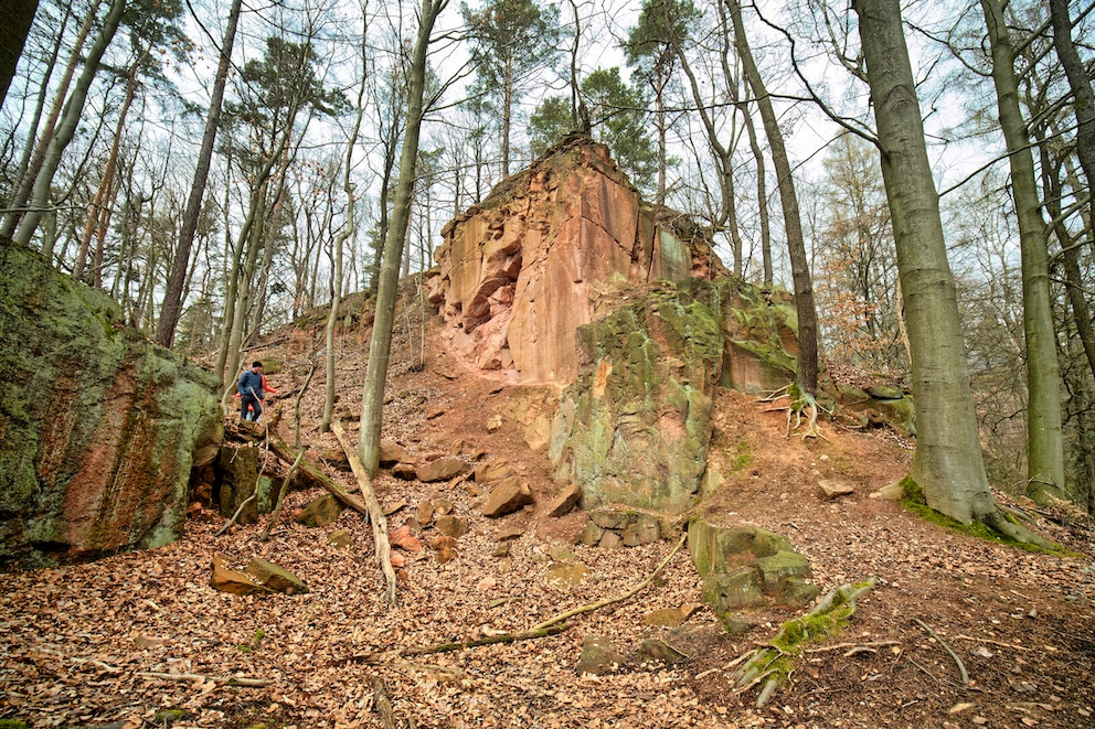 Vom Rochlitzer Berg wird bereits seit über 900 Jahren Rochlitzer Porphyrtuff abgebaut