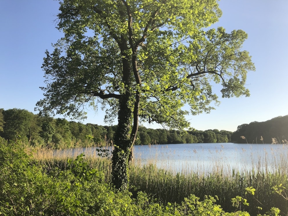 Der Schlachtensee liegt vor den Toren Berlins