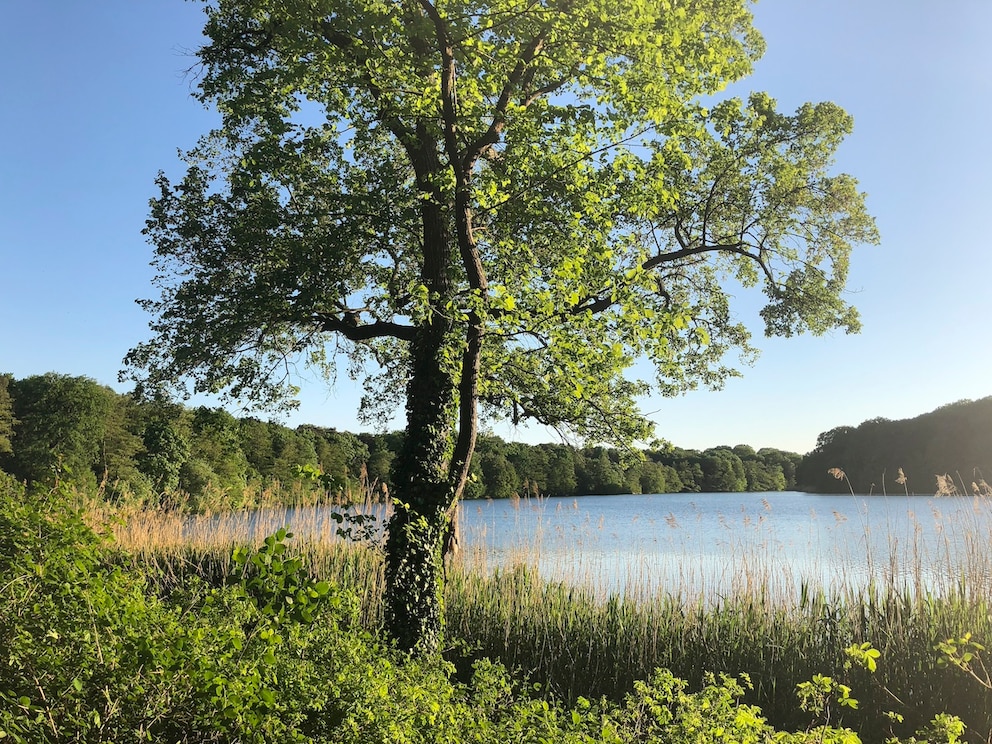 Der Schlachtensee liegt vor den Toren Berlins