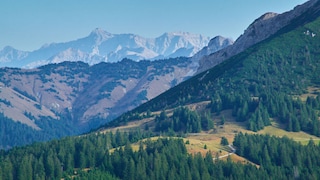 Beim Blick von oben wird die Vielseitigkeit des Tannheimer Tals deutlich – perfekt für Wanderungen!