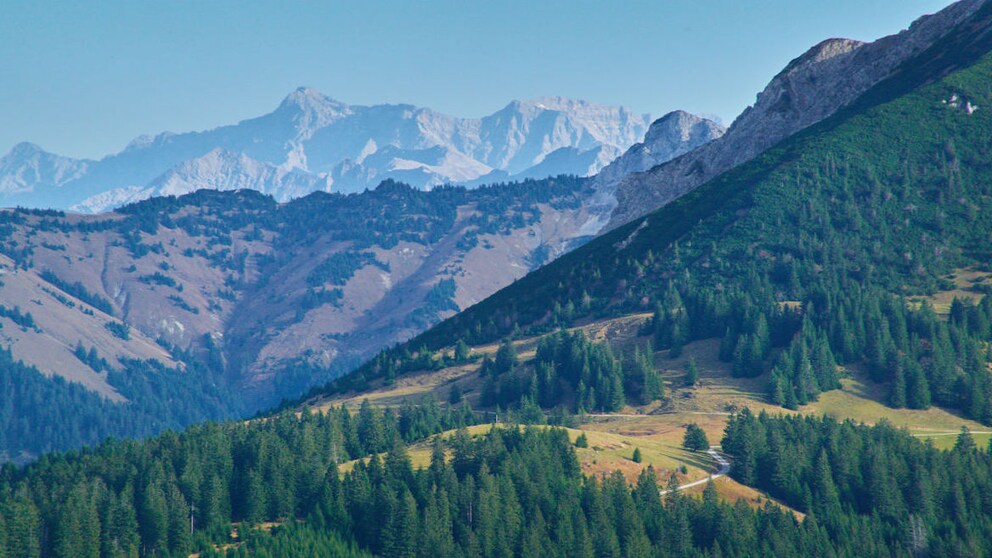 Beim Blick von oben wird die Vielseitigkeit des Tannheimer Tals deutlich – perfekt für Wanderungen!