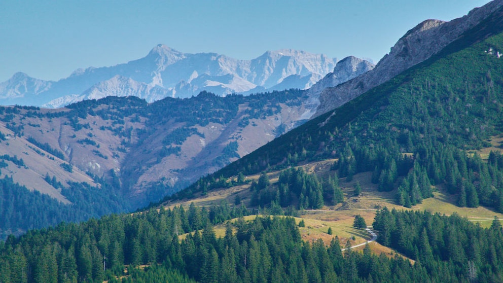 Beim Blick von oben wird die Vielseitigkeit des Tannheimer Tals deutlich – perfekt für Wanderungen!