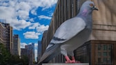 Die 5 Meter hohe Aluminium-Tauben-Skulptur des Bildhauers Ivan Argoste ist im berühmten New Yorker Hochpark The Highline gelandet