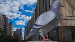 Die 5 Meter hohe Aluminium-Tauben-Skulptur des Bildhauers Ivan Argoste ist im berühmten New Yorker Hochpark The Highline gelandet