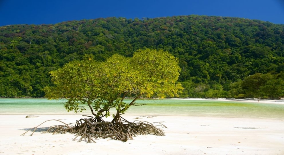 This beautiful beach is located on the Thai island of Ko Surin