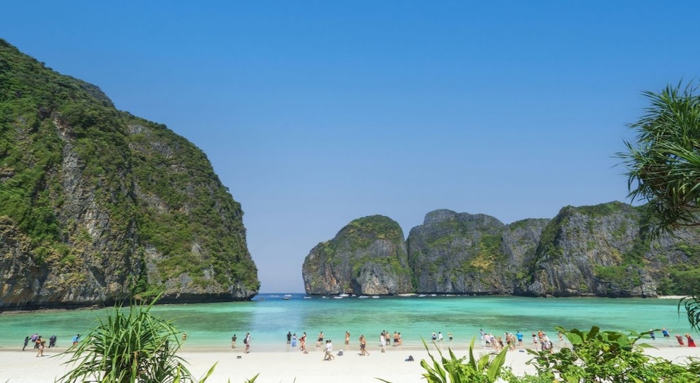 Der Strand Maya Bay zählt nicht ohne Grund zu einem der beliebtesten Strände Thailands und ist häufig während der Monsunzeit gesperrt