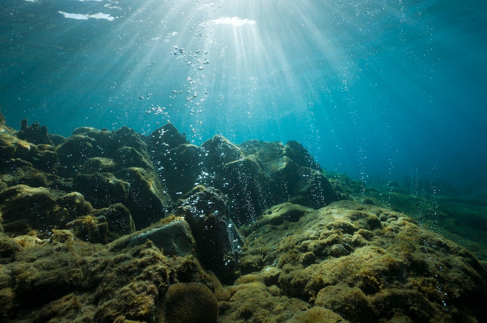 Das Champagne Reef an der Südwestküste Dominicas