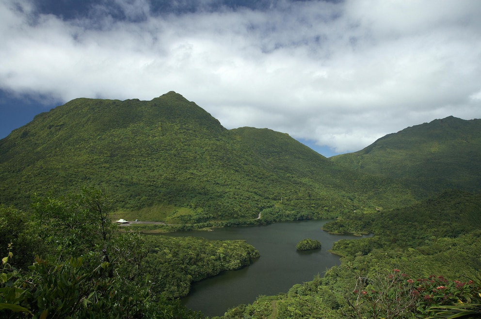 Morne-Trois-Pitons-Nationalpark bei Laudat im Landesinneren von Dominica 