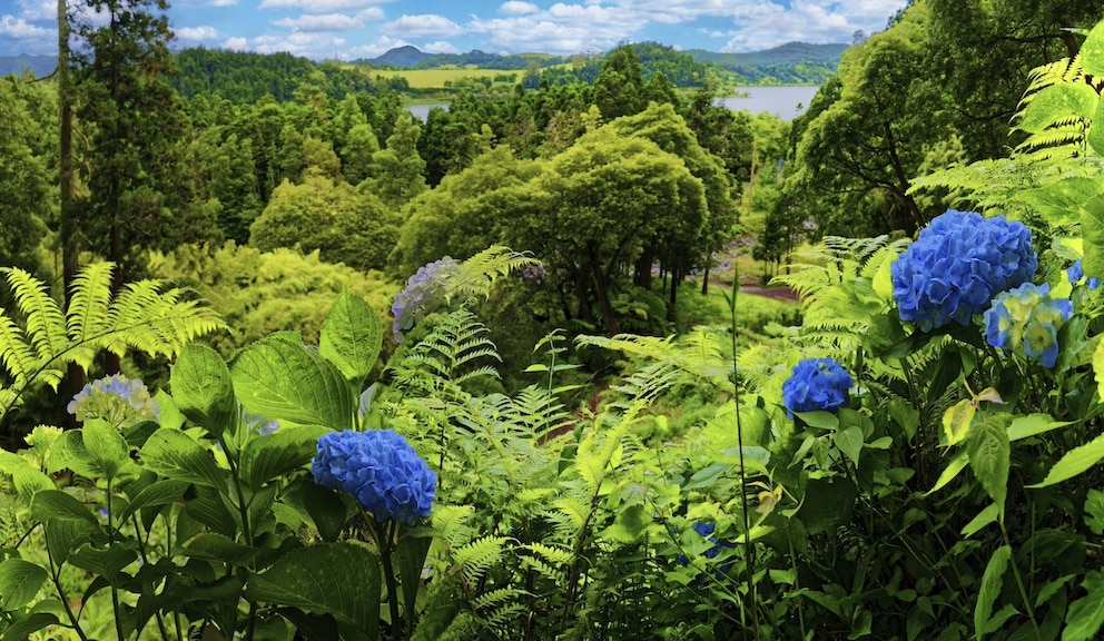 Azoren: Furnas lockt mit faszinierender Vegetation