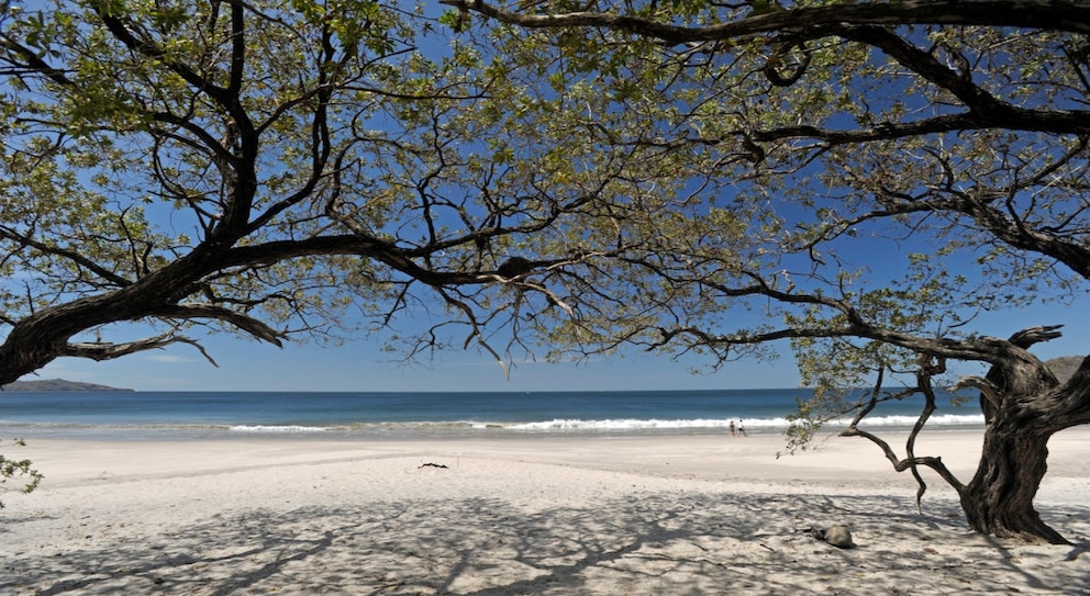 Der Playa Flamingo in Costa Rica ist einer der schönsten Strände und für seinen außergewöhnlich hellen Sand bekannt