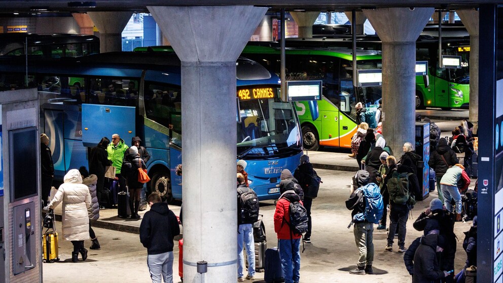 Reisende stehen vor den Fernbussen verschiedener Anbieter
