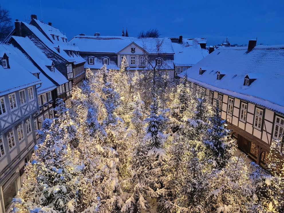 Weihnachtswald in Goslar