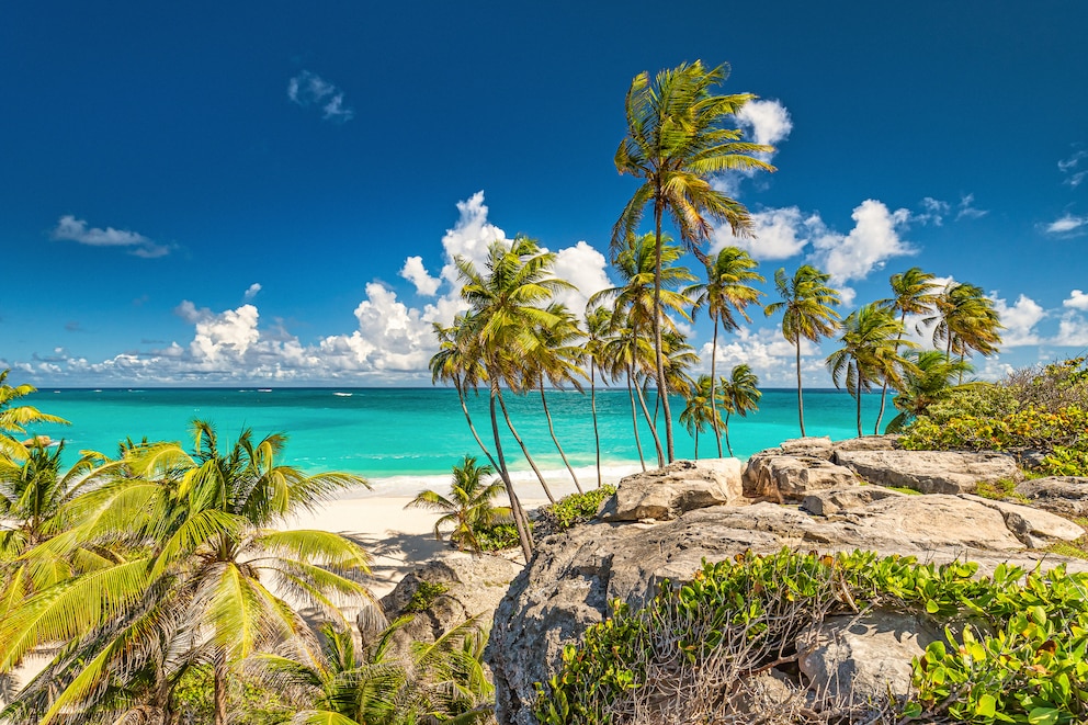 Bowling Alley Hill auf Barbados