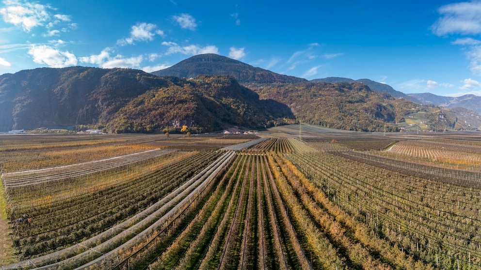 Das Etschtal in Italien ist nicht nur wegen seines Weinanbaus, sondern auch wegen seiner Kletterrouten beliebt – einige finden mittlerweile sogar zu beliebt