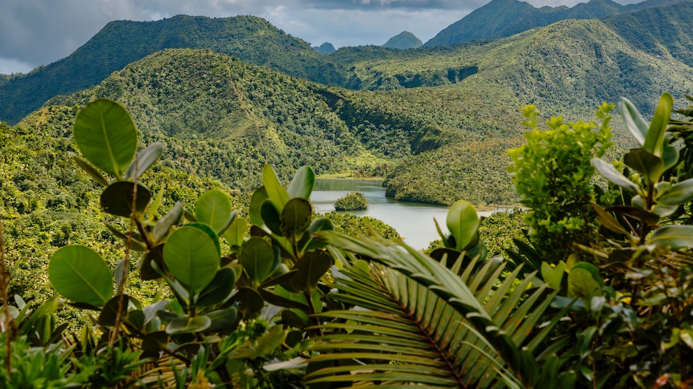 Der Morne Trois Pitons National Park auf Dominica