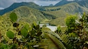 Der Morne Trois Pitons National Park auf Dominica