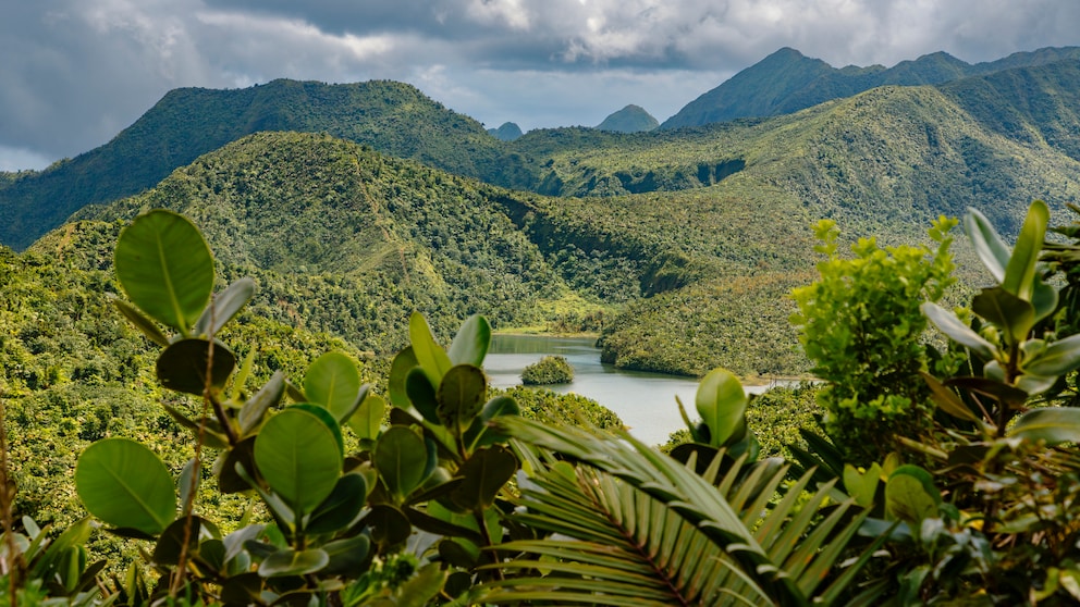 Der Morne Trois Pitons National Park auf Dominica