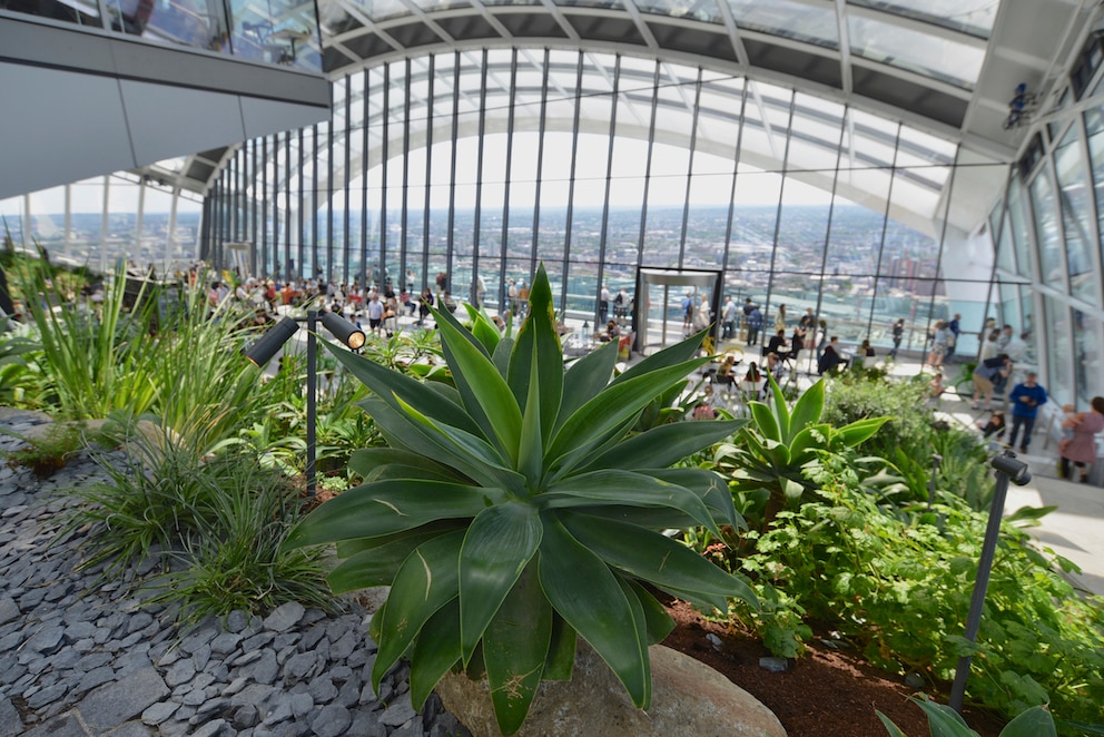 Lohnt sich für einen kostenlosen Ausflug mit Traumblick: The Sky Garden