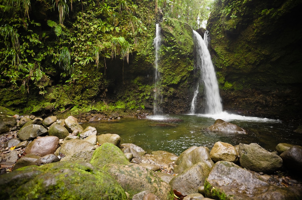 Der Wasserfall Jacko Falls auf der Karibikinsel Dominica