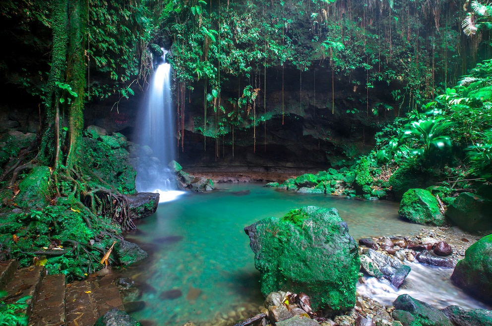 Emerald Pool im Zentrum der Insel Dominica