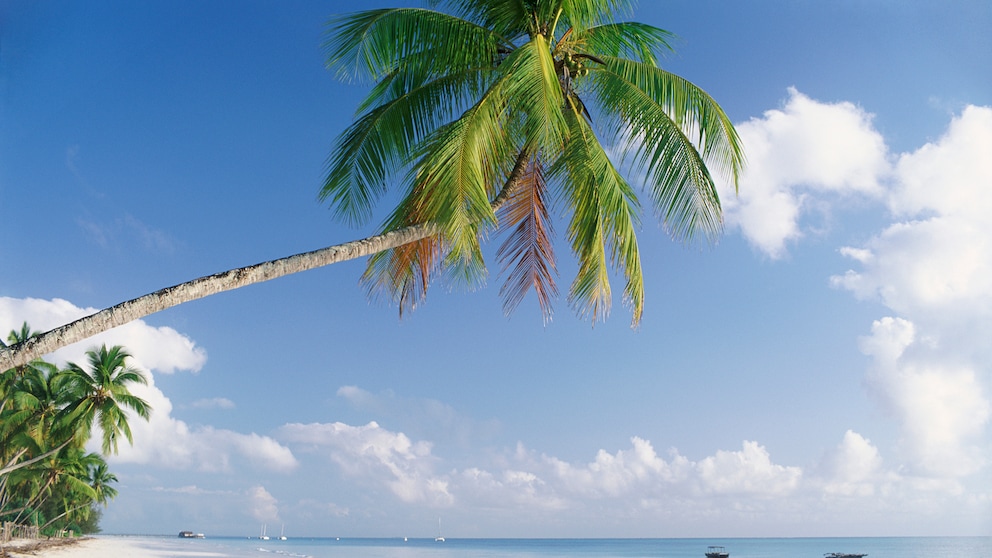 Der Paradise Beach aif Sansibar