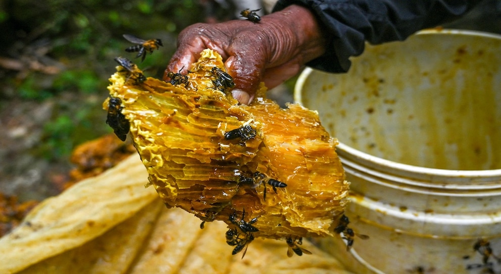 Nepal Gurung