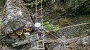 Nepal Gurung