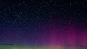 Auch die Lüneburger Heide ist ein idealer Ort, um die Polarlichter von Deutschland aus zu sehen