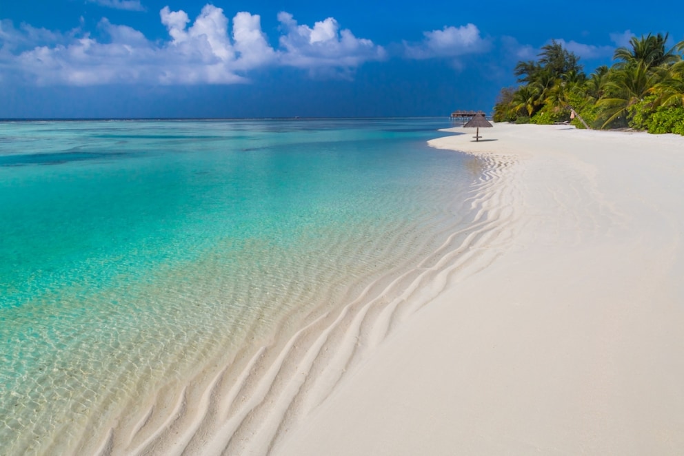 Thanks to calcium excretions, the beaches of the Maldives are so beautifully white.