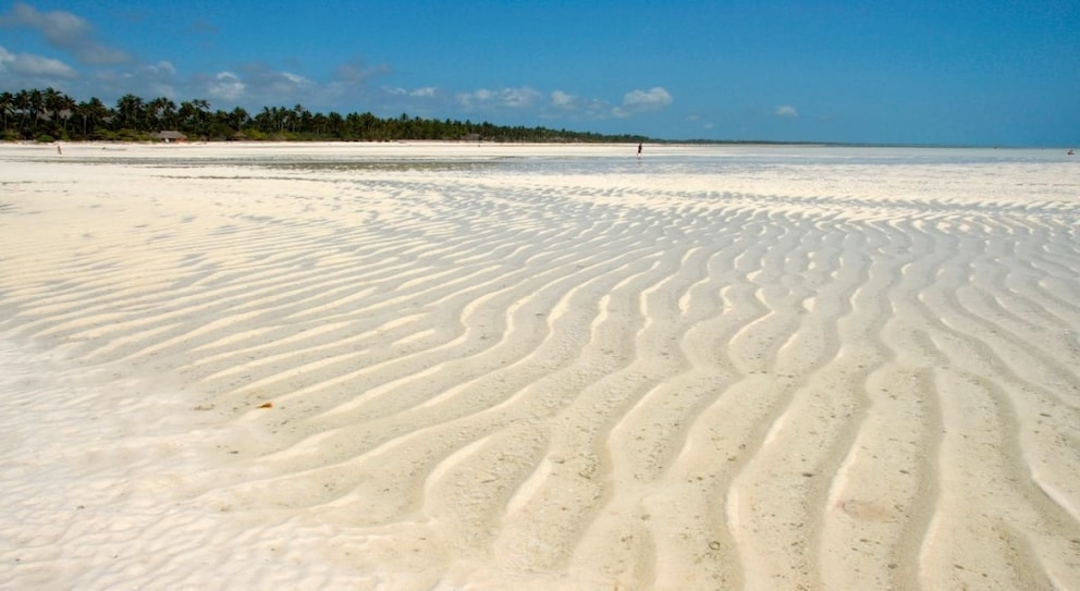 The fishing village of Kizimkazi on Zanzibar's southern coast has a beautiful beach