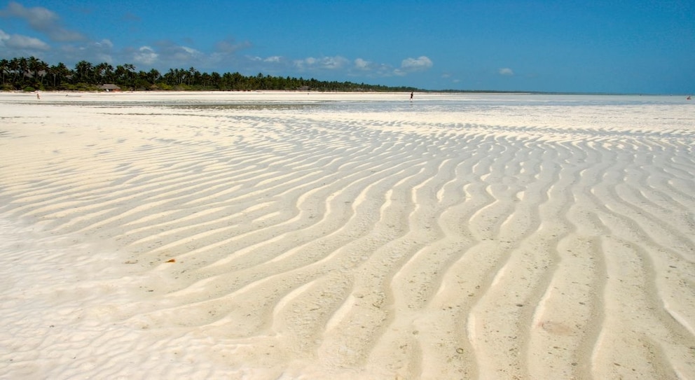 Das Fischerdorf Kizimkazi an der südlichen Küste Sansibars besitzt einen wunderschönen Strand