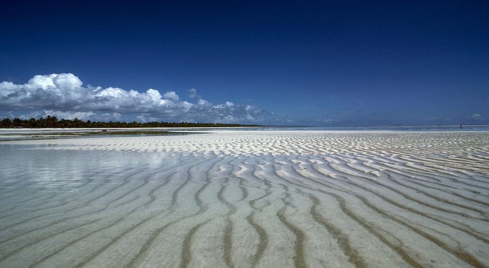 Der Strand Pwani Mchangani liegt im Nordosten von Sansibar und die Fotos sprechen für sich