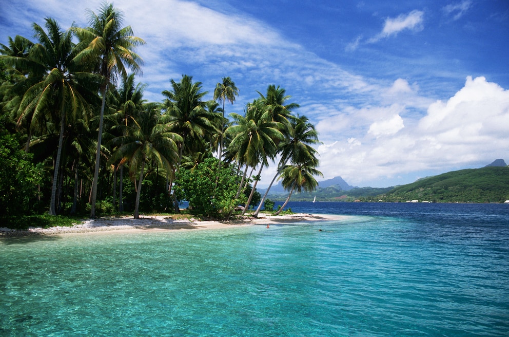 Tonga bietet paradiesische Strände