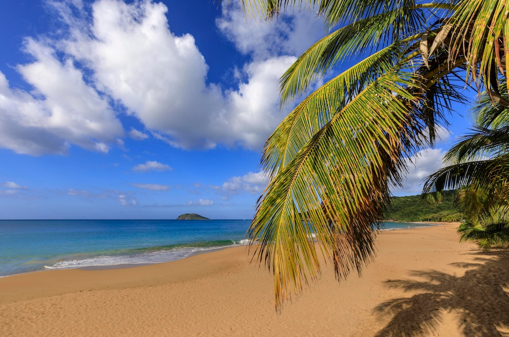 Plage de Anse de la Perle ist ein beliebter Strand auf Guadeloupe