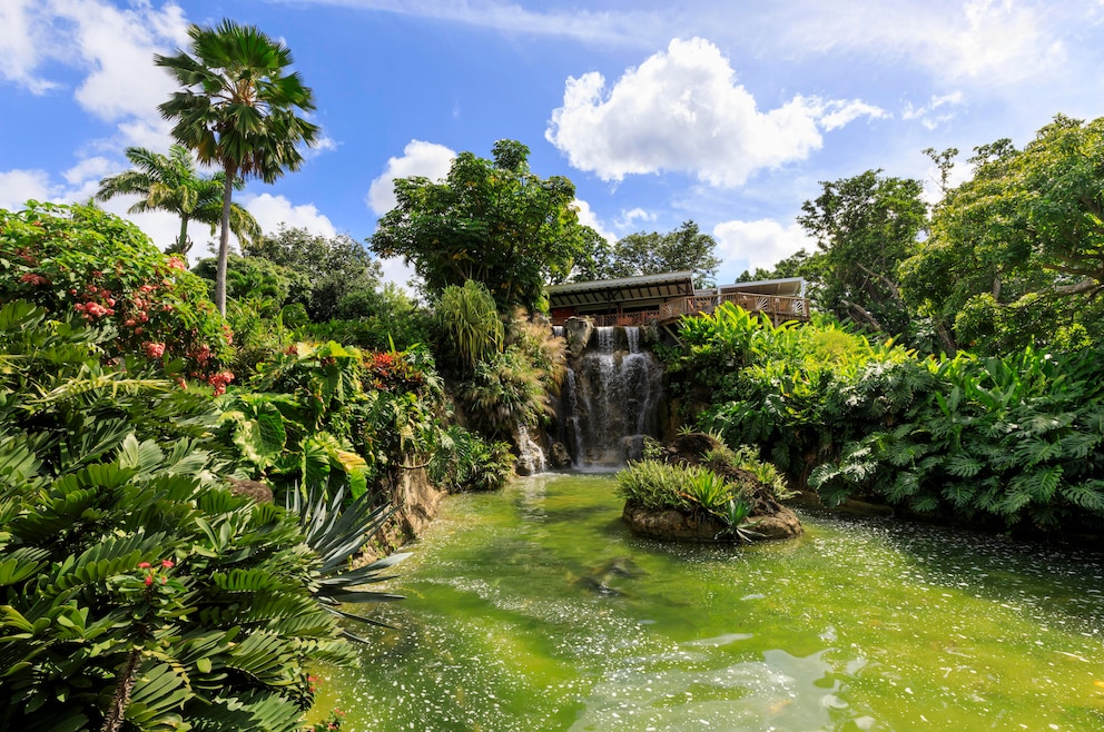 Der Jardin Botanique de Deshaies ist der Botanische Garten in Deshaies