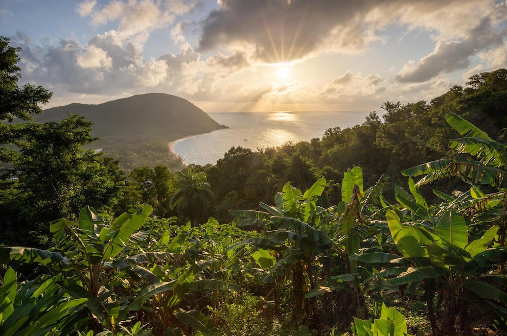 Basse-Terre ist die westliche der beiden Hauptinseln Guadeloupes