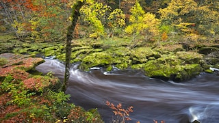 Seine Schönheit ist trügerisch: Der Bolton Strid wird oft auch als gefährlichster Flussabschnitt der Welt bezeichnet