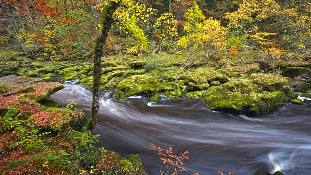 Seine Schönheit ist trügerisch: Der Bolton Strid wird oft auch als gefährlichster Flussabschnitt der Welt bezeichnet