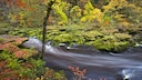 Seine Schönheit ist trügerisch: Der Bolton Strid wird oft auch als gefährlichster Flussabschnitt der Welt bezeichnet