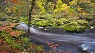 Seine Schönheit ist trügerisch: Der Bolton Strid wird oft auch als gefährlichster Flussabschnitt der Welt bezeichnet