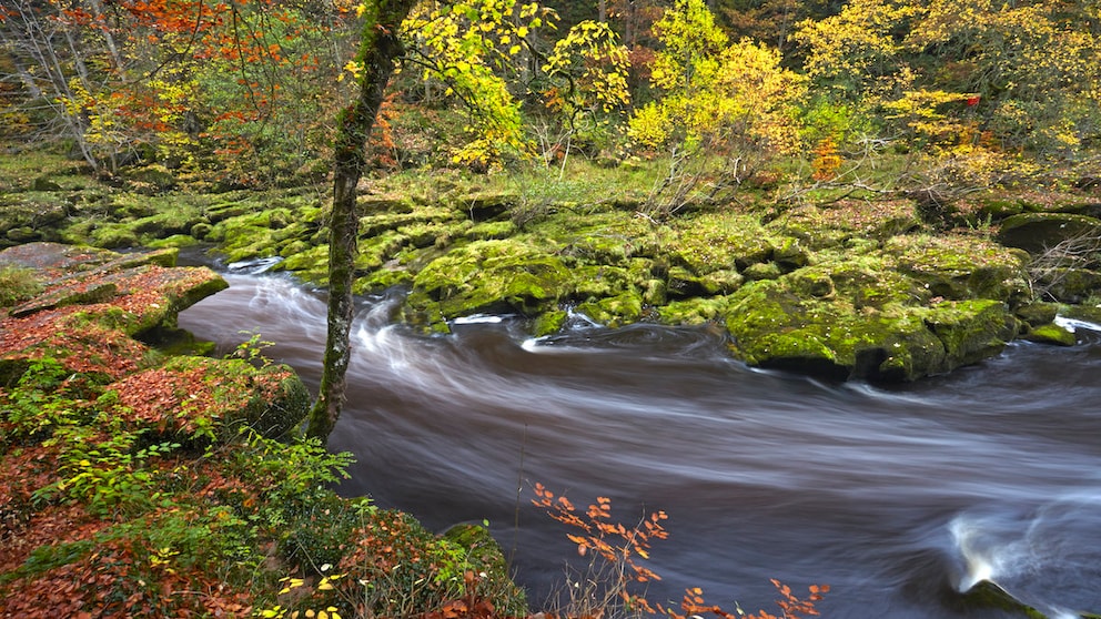 Seine Schönheit ist trügerisch: Der Bolton Strid wird oft auch als gefährlichster Flussabschnitt der Welt bezeichnet