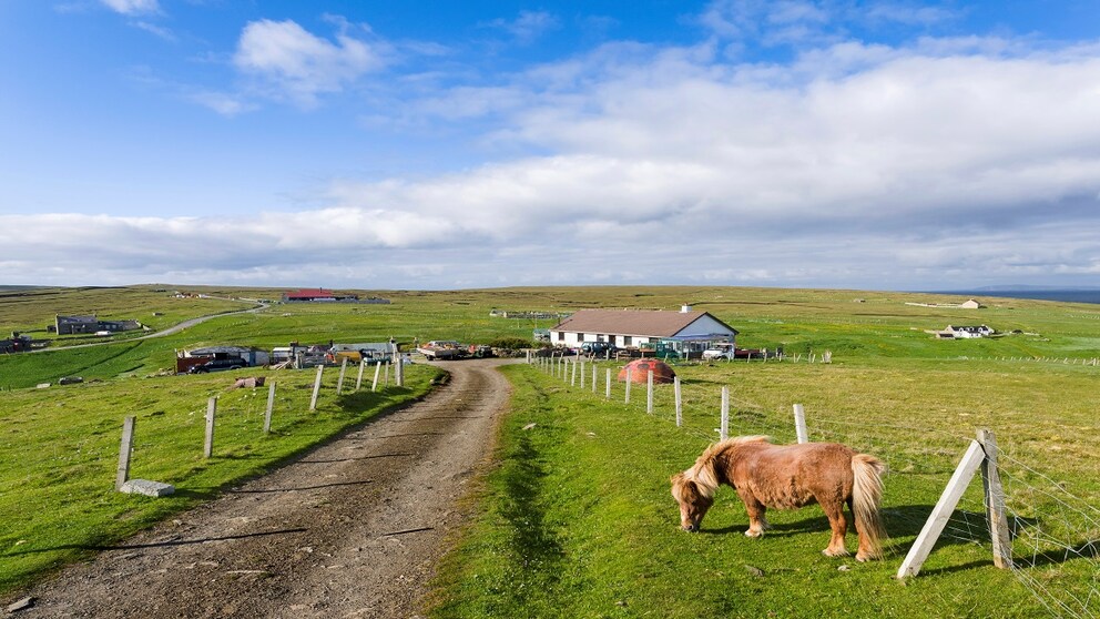 Foula